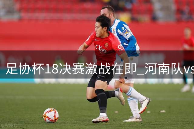 足协杯1/8决赛激战在即 河南队vs大连英博首发名单曝光